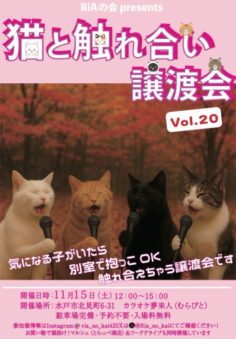 猫と触れ合い譲渡会