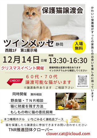 クローバー保護猫譲渡会&地域猫活動相談会 in静岡市