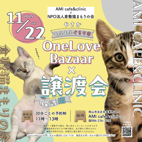 One Love Bazaar×保護猫譲渡会