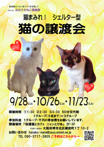 　オープンシエルター型　譲渡会