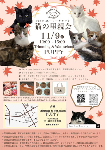 猫の里親会　in つくばパピー