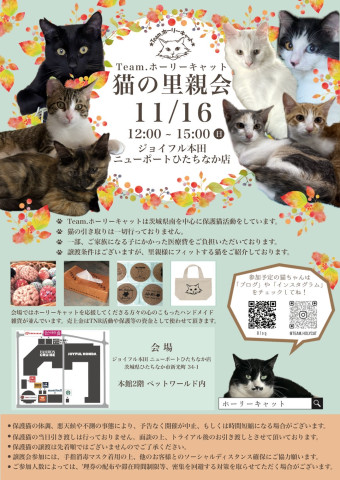猫の里親会　in ジョイフル本田ひたちなか
