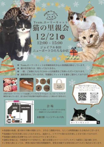 猫の里親会　in ジョイフル本田ひたちなか