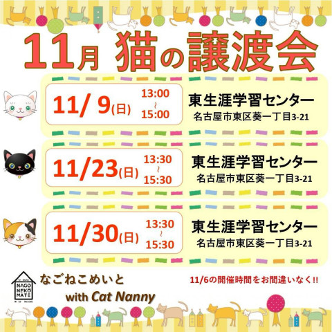 【名古屋市】東区譲渡会　なごねこめいと+CatNanny