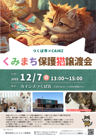 くみまち保護猫譲渡会