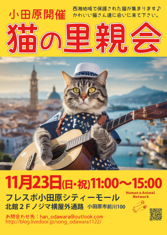 保護猫の里親会@小田原