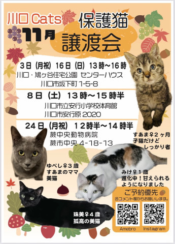 川口ｃａｔ'ｓ保護猫譲渡会