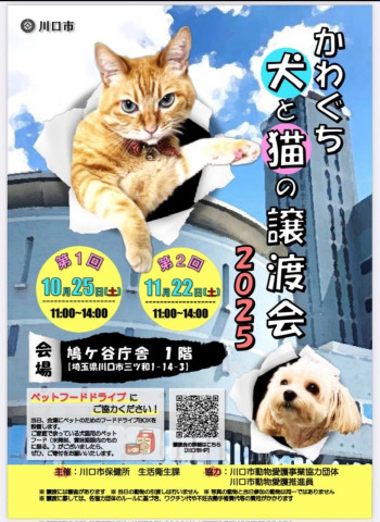 かわぐち犬と猫の譲渡会２０２５