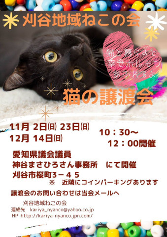 刈谷地域ねこの会　猫の譲渡会
