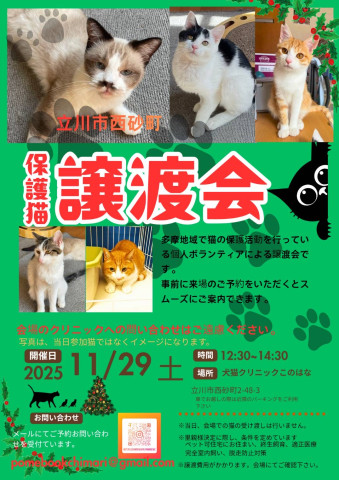 保護猫譲渡会　東京都立川市