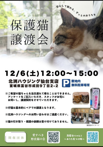 保護猫譲渡会