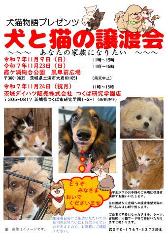 犬と猫の譲渡会～あなたの家族になりたい～　　　　　　　