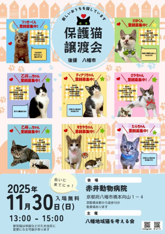 保護猫譲渡会in赤井動物病院