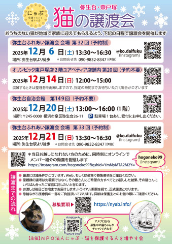 弥生台・東戸塚　猫の譲渡会