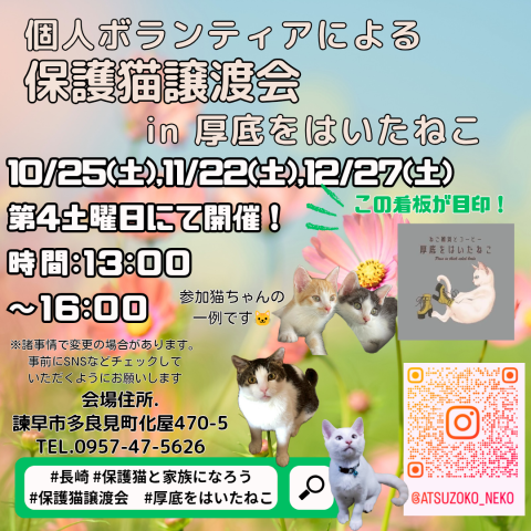 長崎の個人ボランティアによる保護猫譲渡会