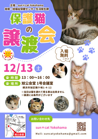 保護猫の譲渡会@sun＊cat Yokohama