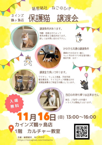 秘密結社ねこのひげ♡保護猫譲渡会