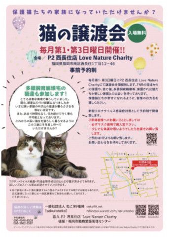 ねこ99福岡×[sakuraneko]合同譲渡会