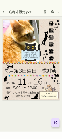 道の駅井波　保護猫譲渡会