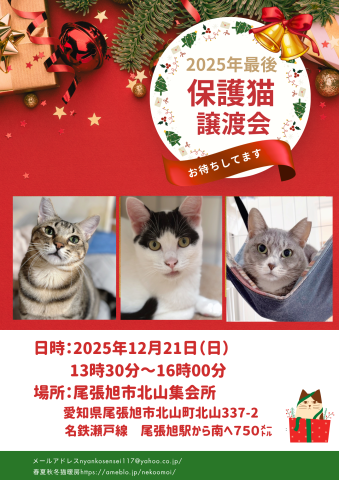 保護猫譲渡会