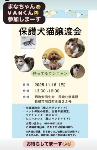 保護犬猫譲渡会
