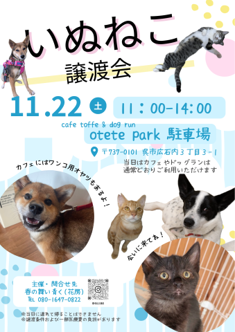 いぬねこ譲渡会