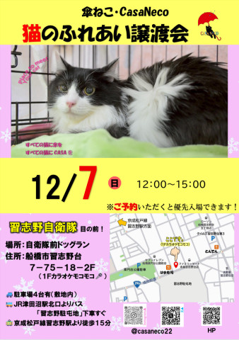 『傘ねこふれあい譲渡会Vol.32』