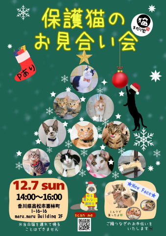 まだら家🍀保護猫のお見合い会