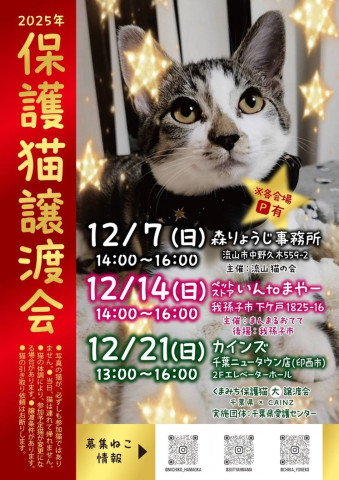 保護猫譲渡会