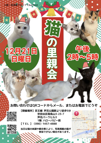 猫の里親会