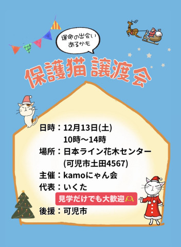 保護猫譲渡会in花木センター 20251213