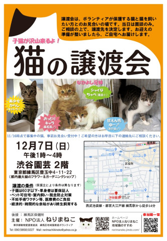 猫の譲渡会、渋谷園芸・練馬本店