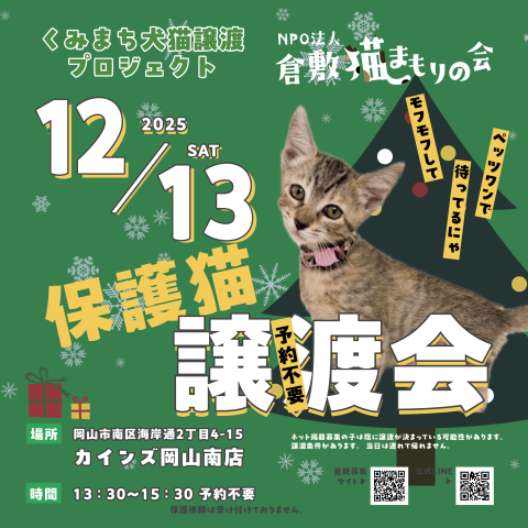 保護猫譲渡会（予約不要）