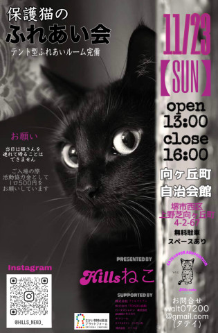 保護猫のふれあい会