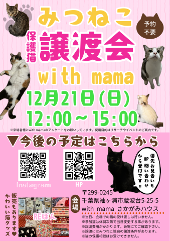 みつねこ譲渡会