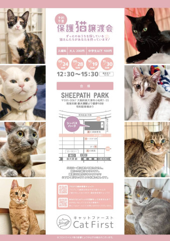 11/30第82回　Cat First 譲渡会開催のお知らせ