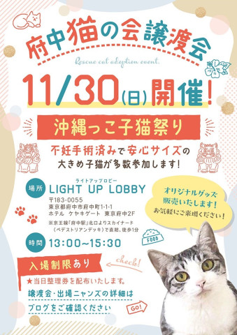 府中猫の会譲渡会