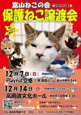 富山ねこの会　保護ねこ譲渡会