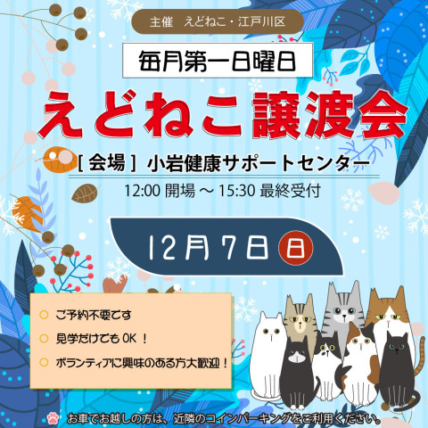 えどねこ譲渡会　in江戸川区