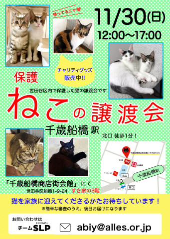 チームＳＬＰ世田谷譲渡会