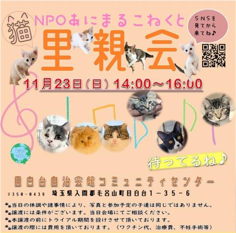 あにこね里親会