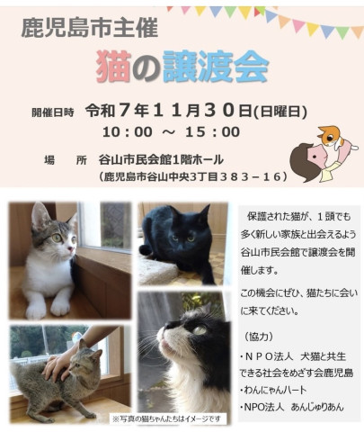 わんにゃんハート　譲渡会