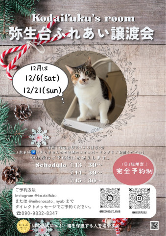 にゃぶ 弥生台ふれあい譲渡会