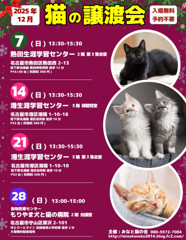 ネコの譲渡会 名古屋市港区