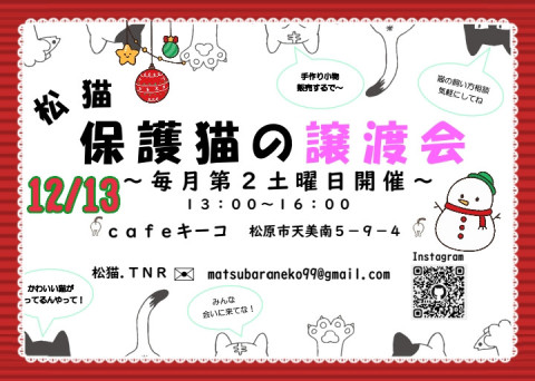 松猫 保護猫の譲渡会