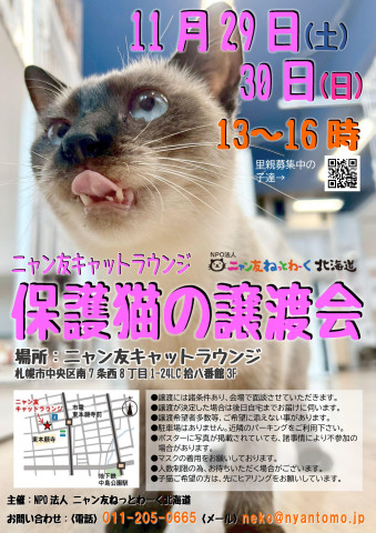 【札幌】ニャン友キャットラウンジ譲渡会〈11/29-30〉