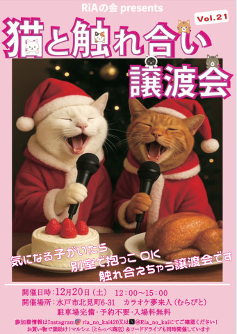 猫と触れ合い譲渡会