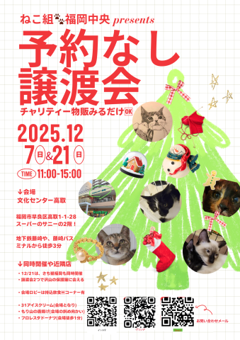 ねこ組🐾福岡中央