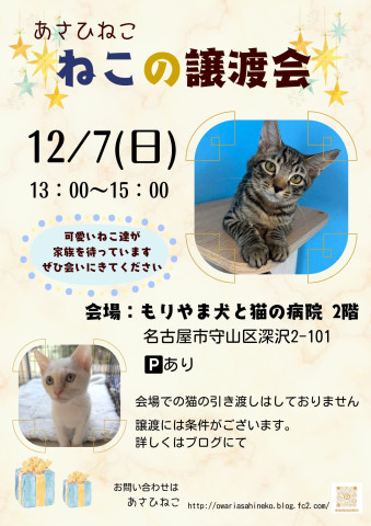 ねこの譲渡会 inもりやま犬と猫の病院