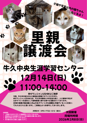 里親譲渡会　茨城県牛久市